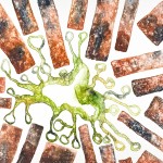 Untitled, 16" x 20" Watercolor on Paper, 2012