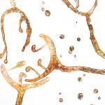 Untitled, 10" x 13" Watercolor on Paper, 2012